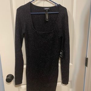 Express Sparkle Sweater Dress